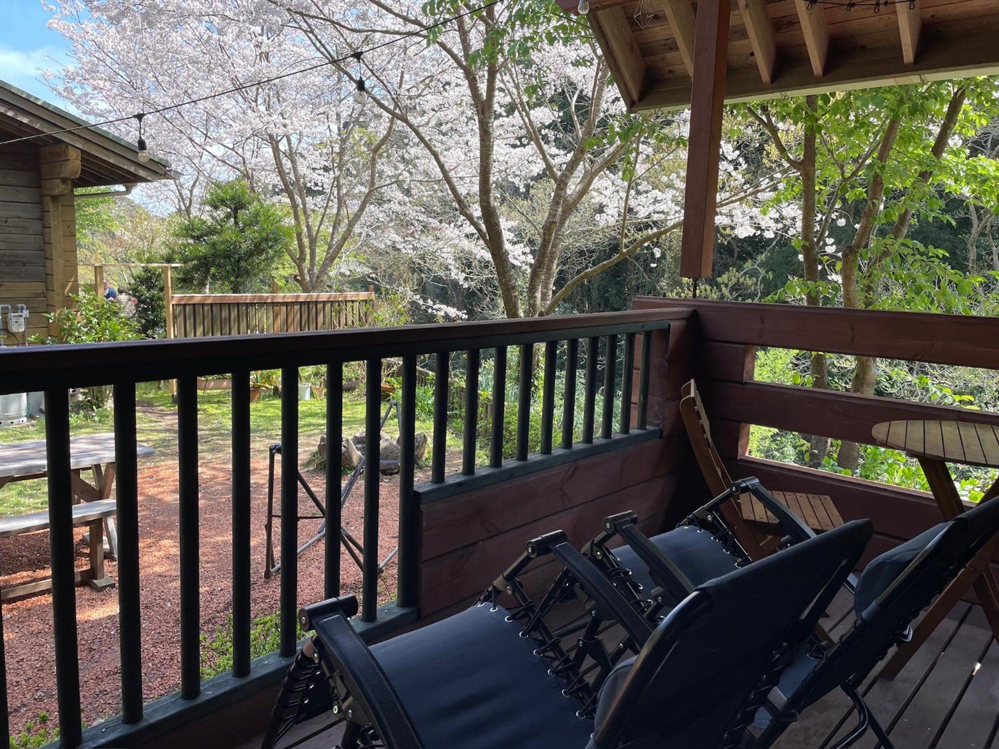 Sunny Side Cottage Shimoda  Exterior foto